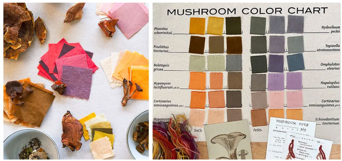 Mushroom Color Atlas