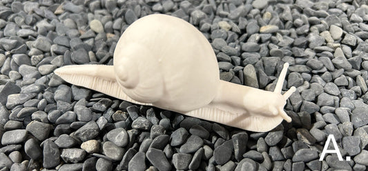 Porcelain Snail by FHAR Studio - A