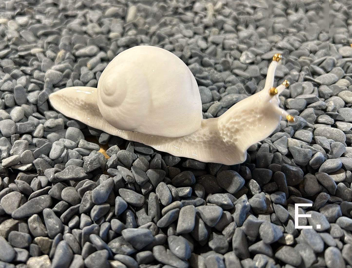 Porcelain Snail by FHAR Studio - E