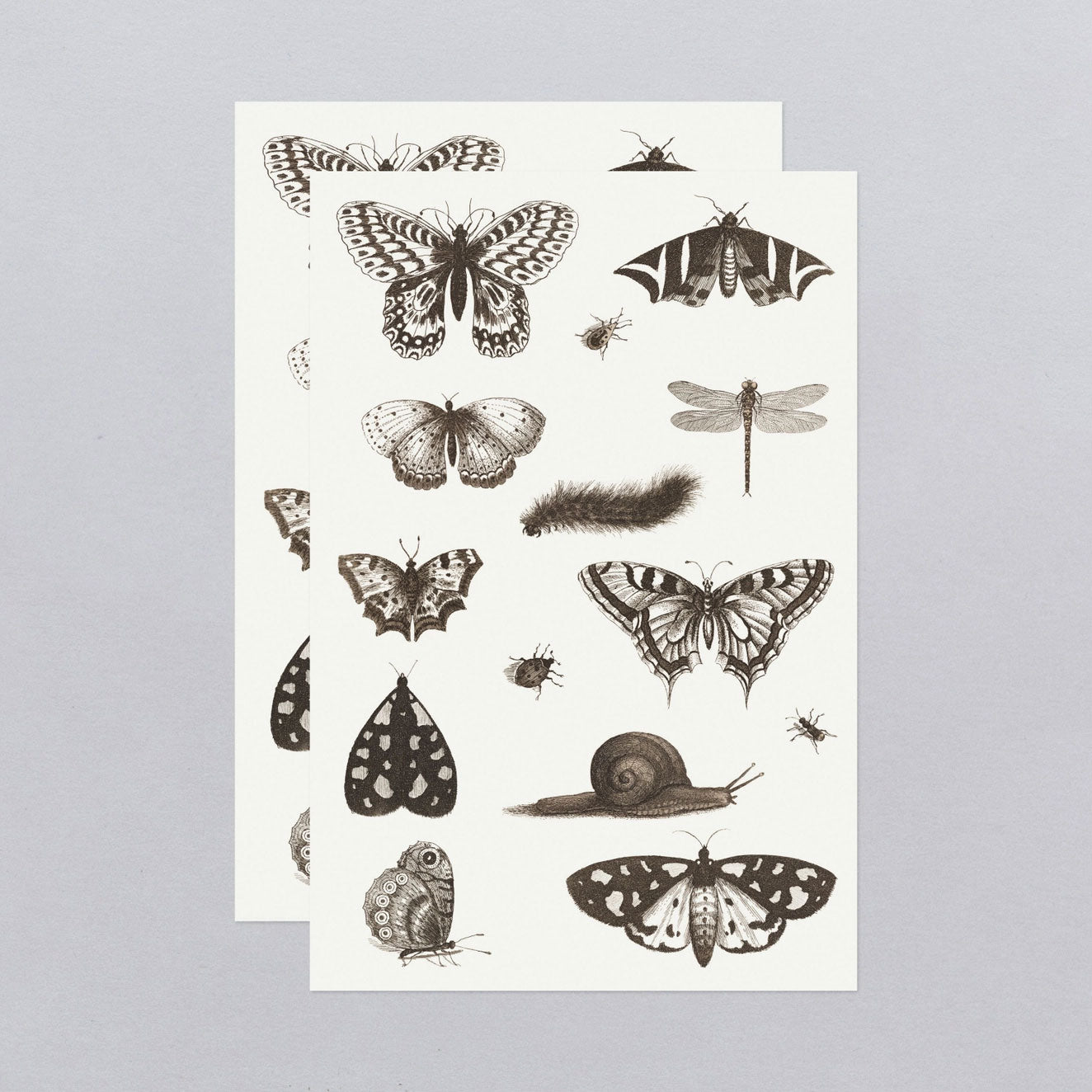 B&W Insects Tattoo Sheet