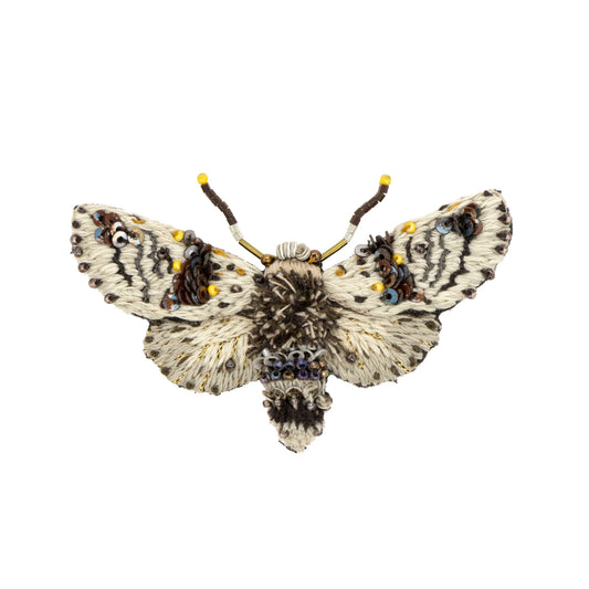 Alder Kitten Moth Brooch Pin